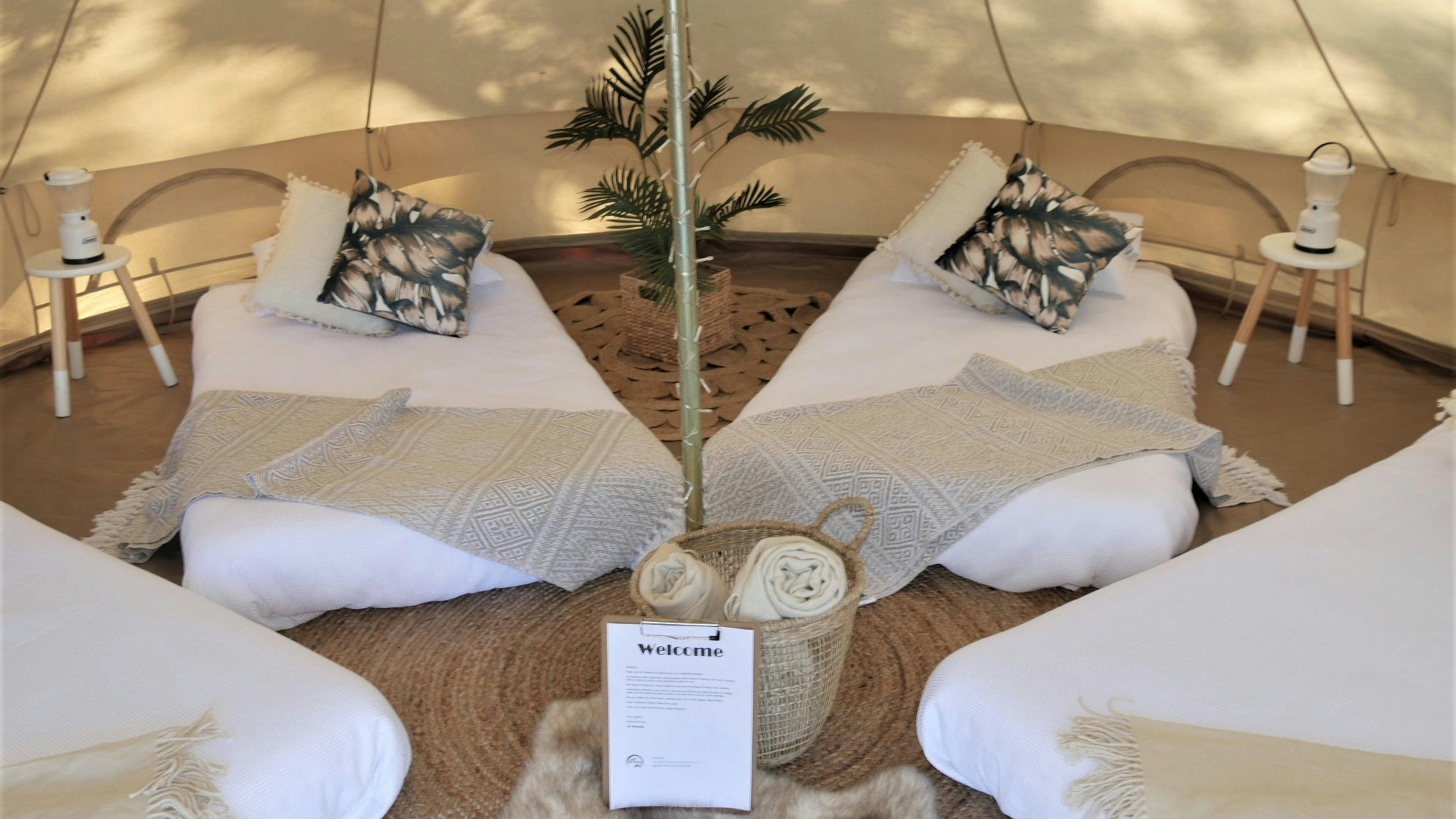 エメラルドパーク・エクイーン