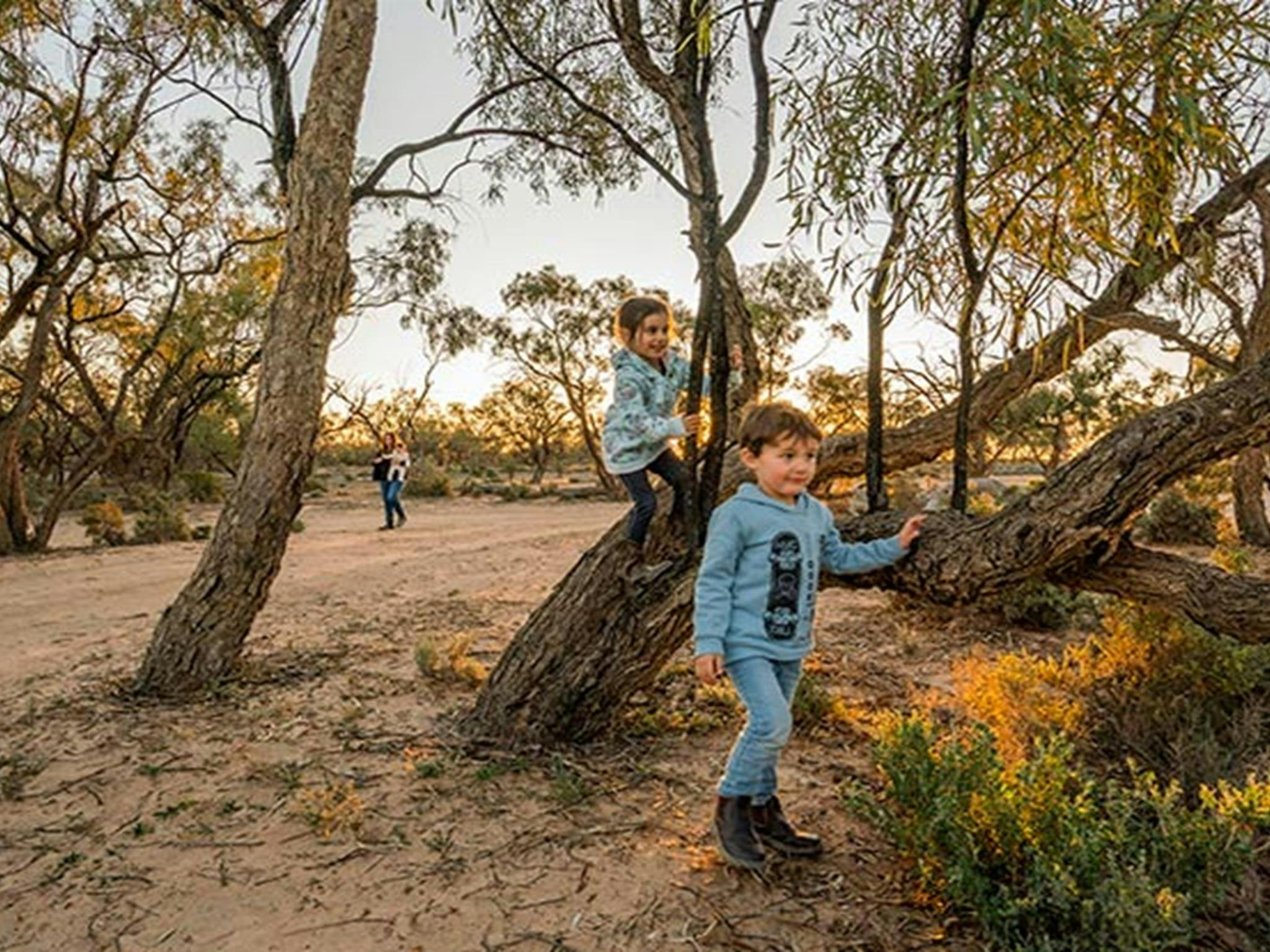 Kinder spielen zwischen den Bäumen auf dem Campingplatz am Emu Lake. Foto: John Spencer/DPIE