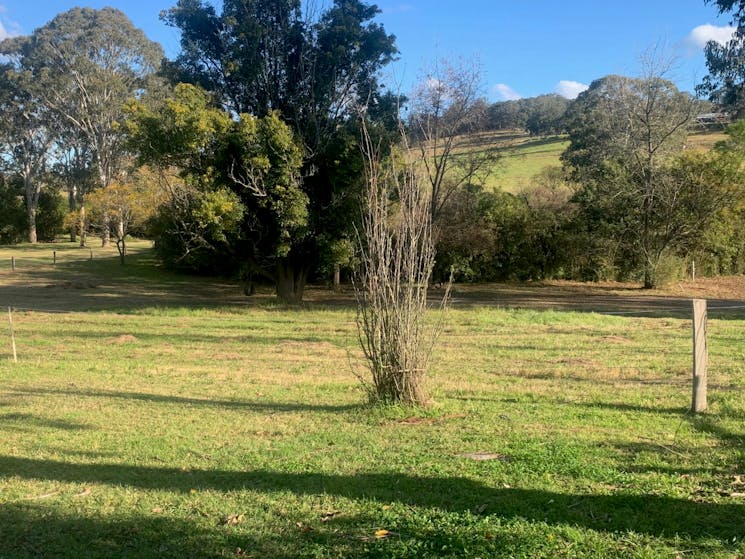 The Old Pub House Wollombi Camping