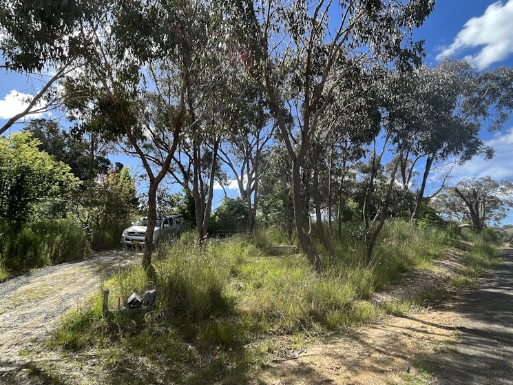 Access drive through remnant bushland buffer and road to Rockley Village 