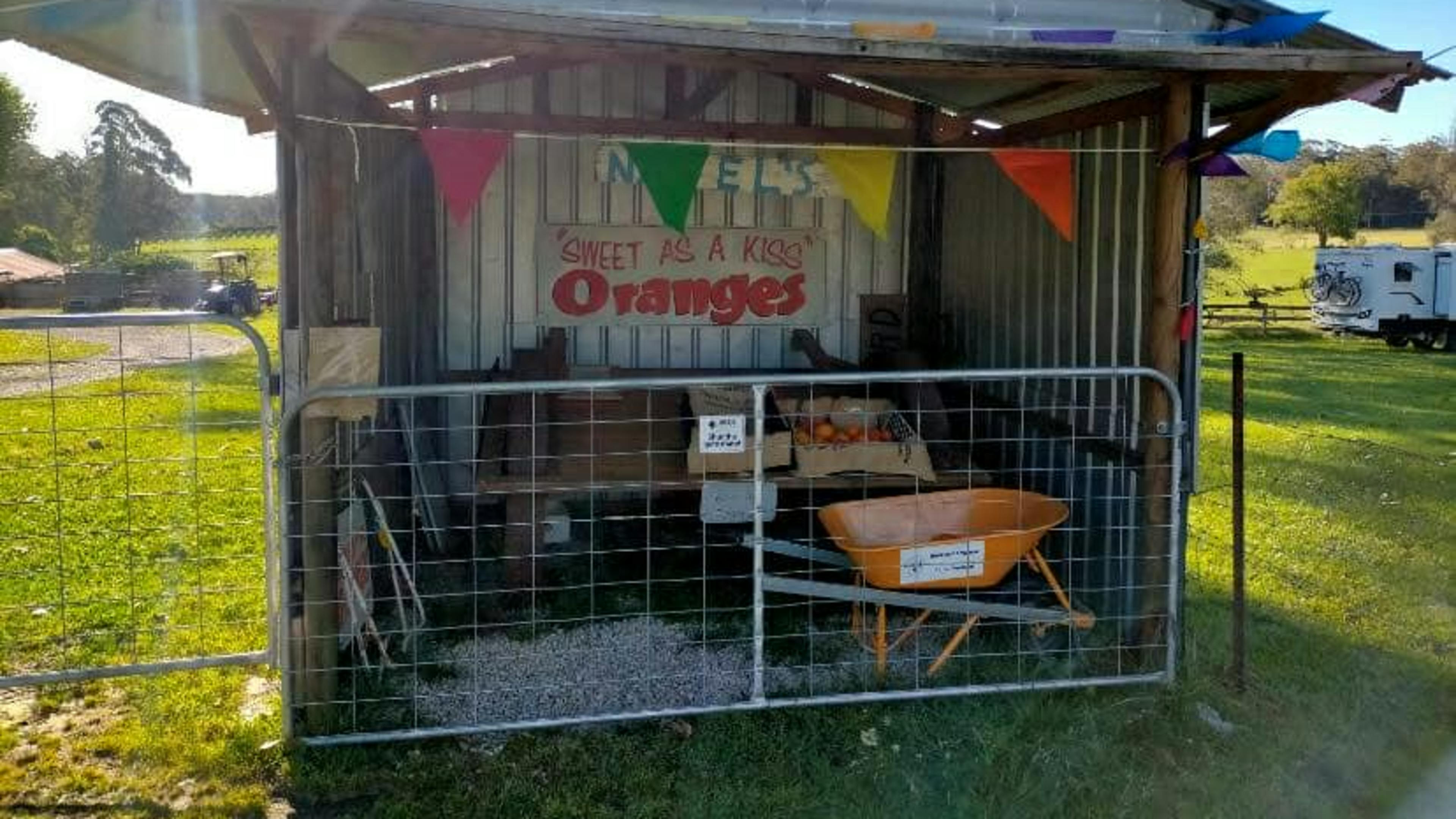 Doraville Farm Campsite