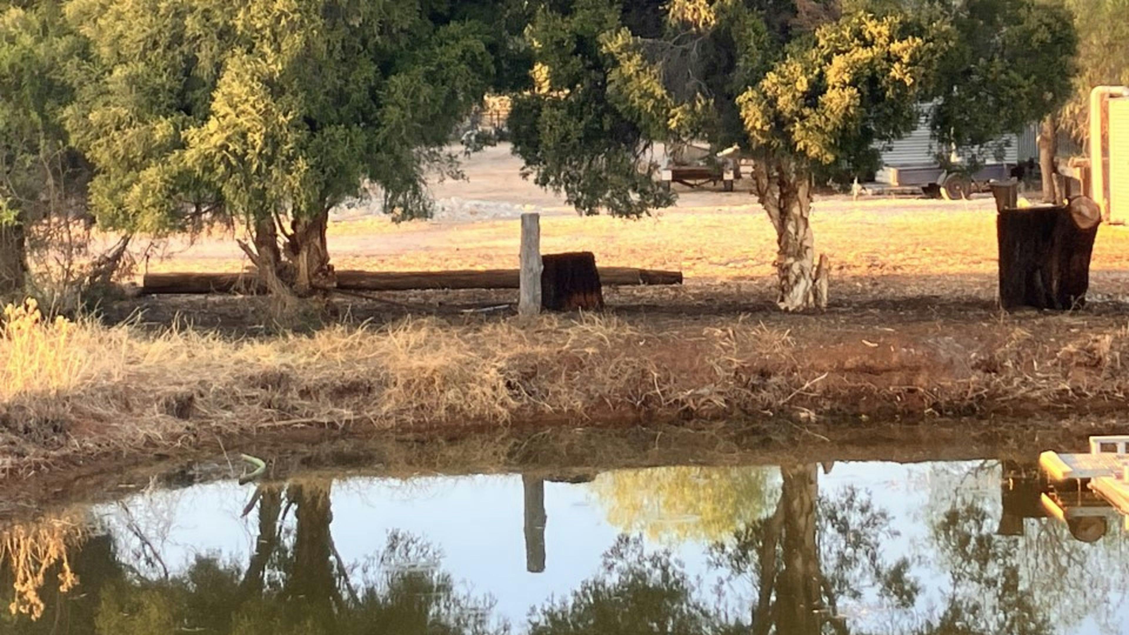 The start of The Picnic Place
