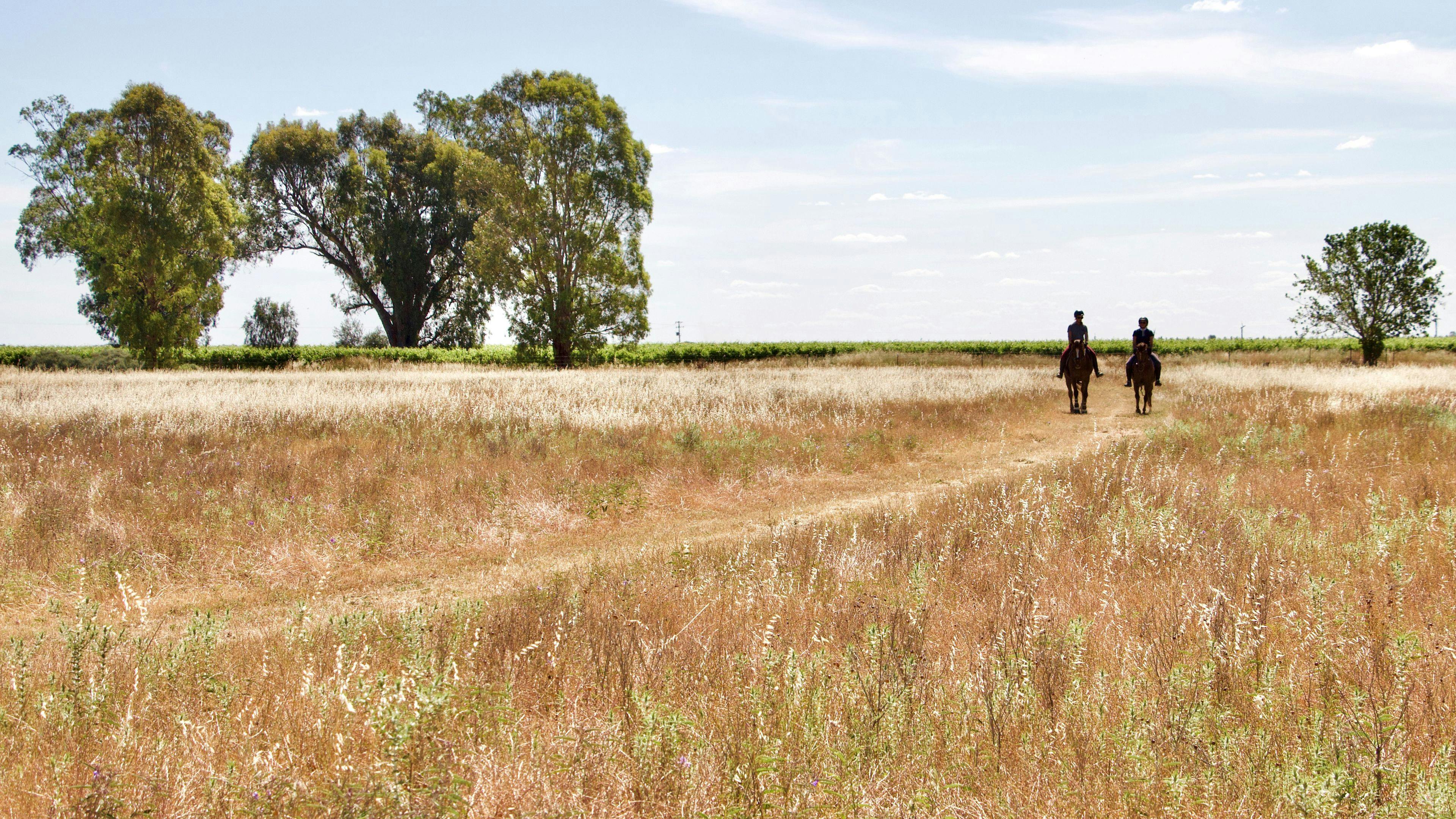 Equestrian Farm Stay