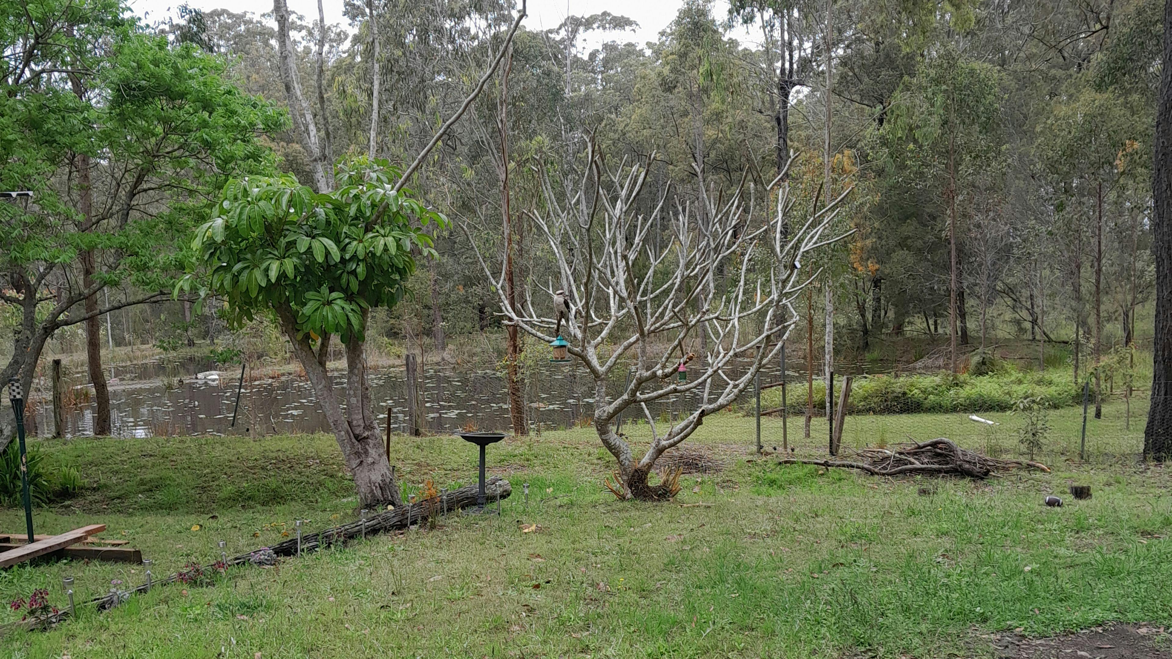 Escape to the Country