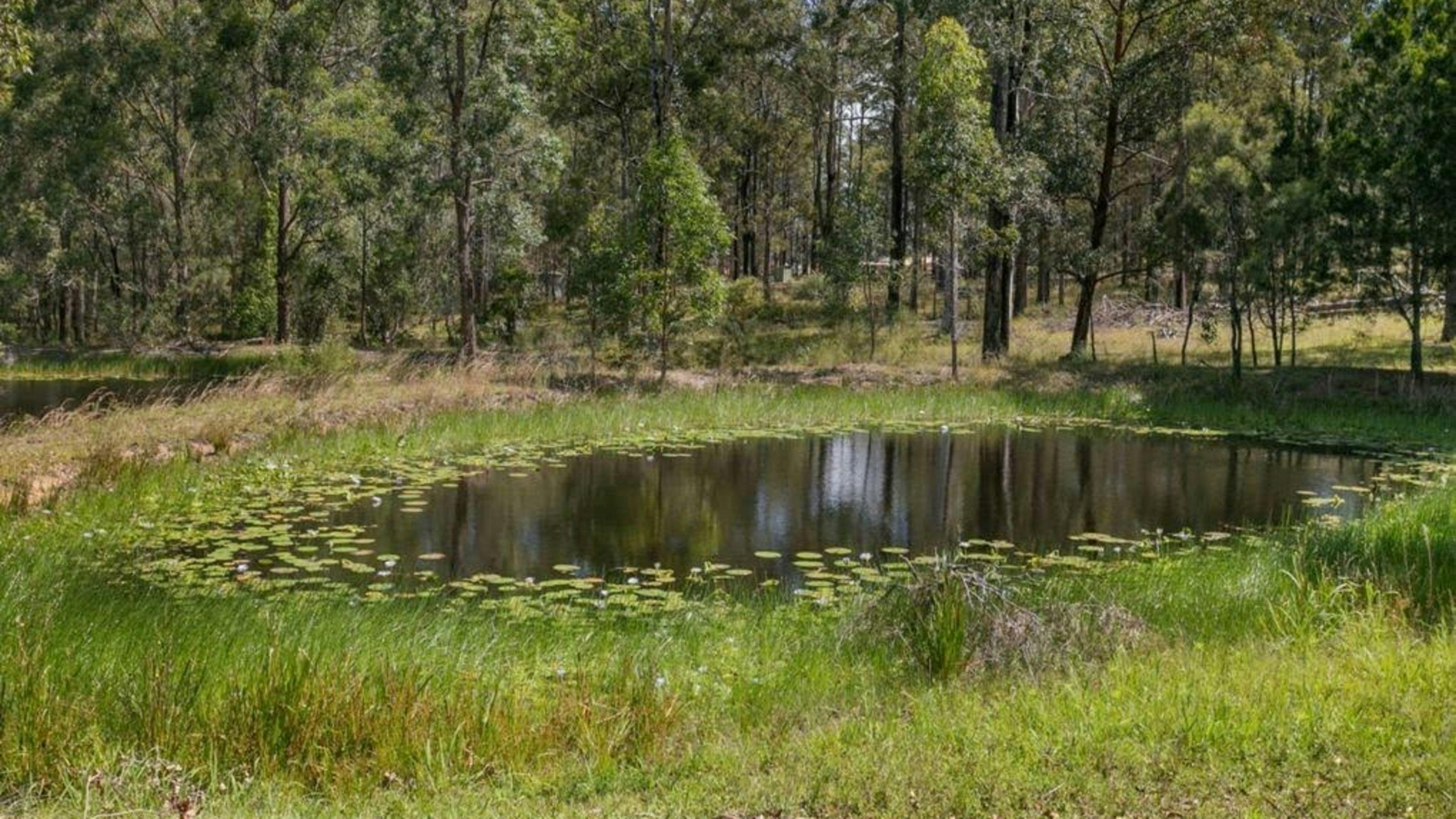 Escape to the Country