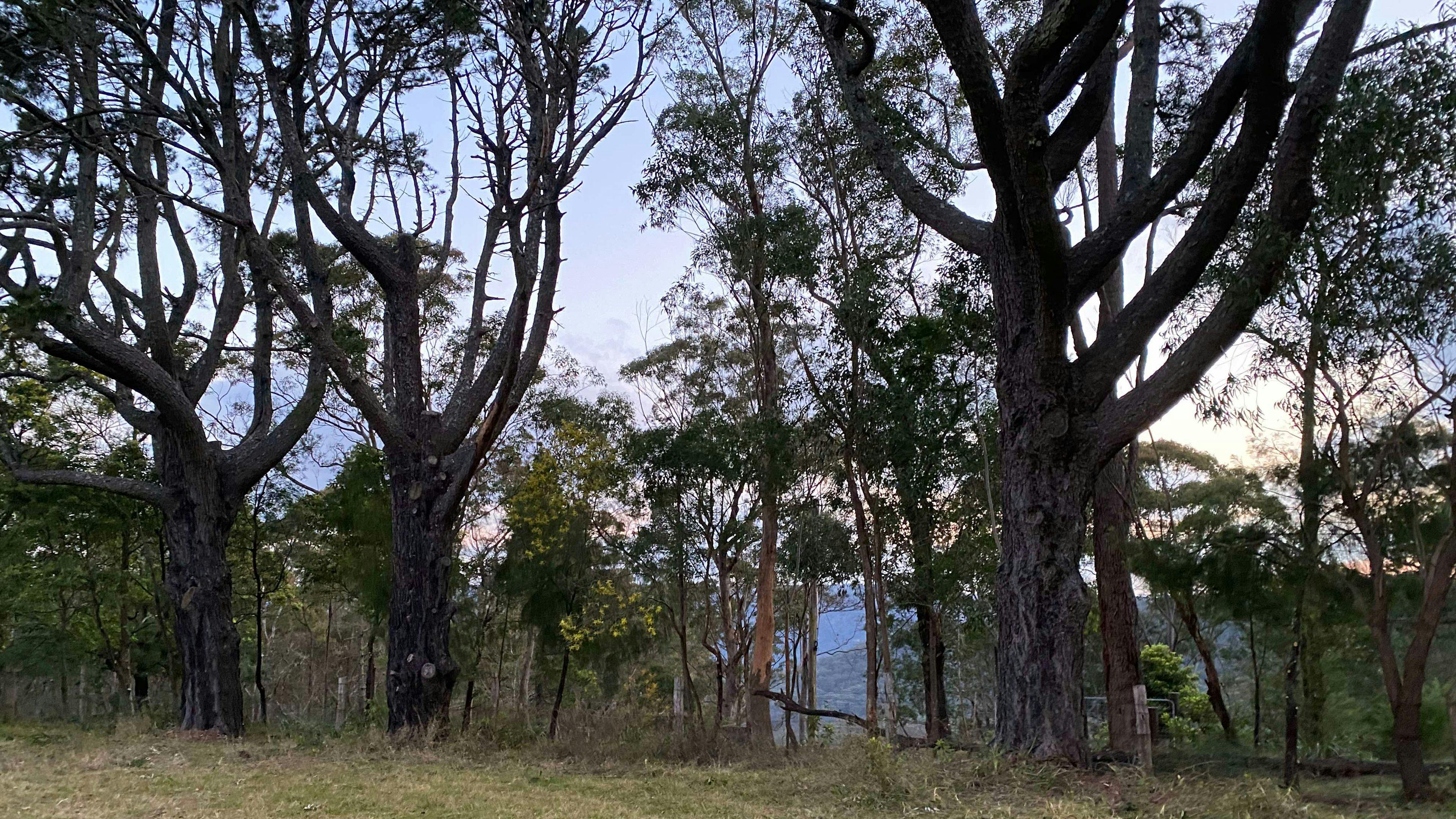 Flucht vor der Böschung