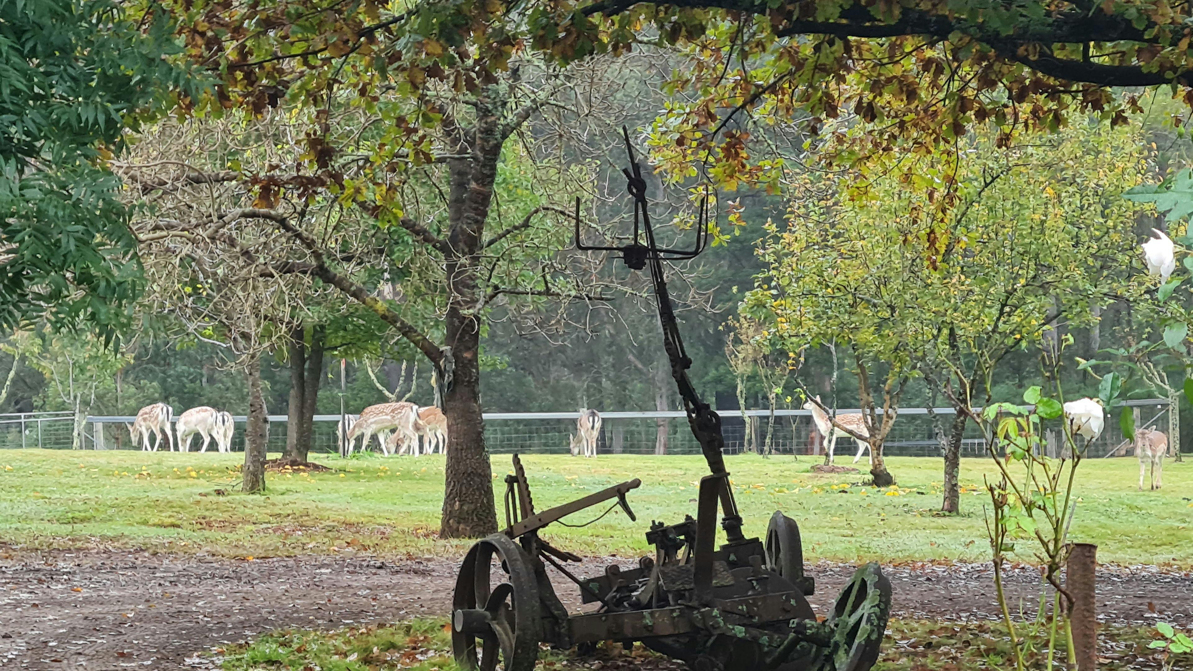 Oakleigh Farm Stay