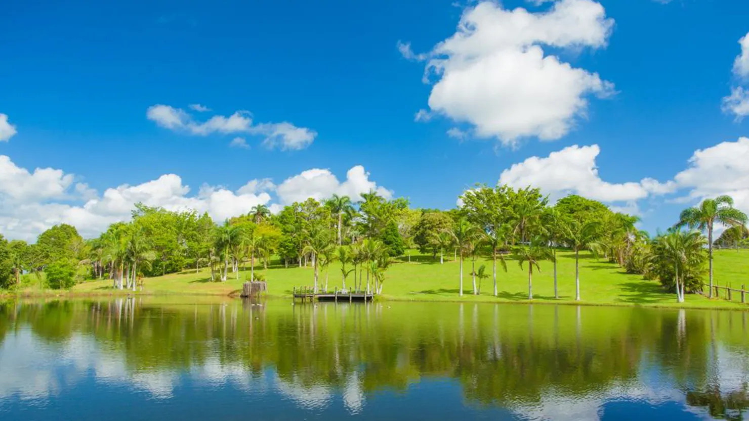 Eumundi Mountain Retreat