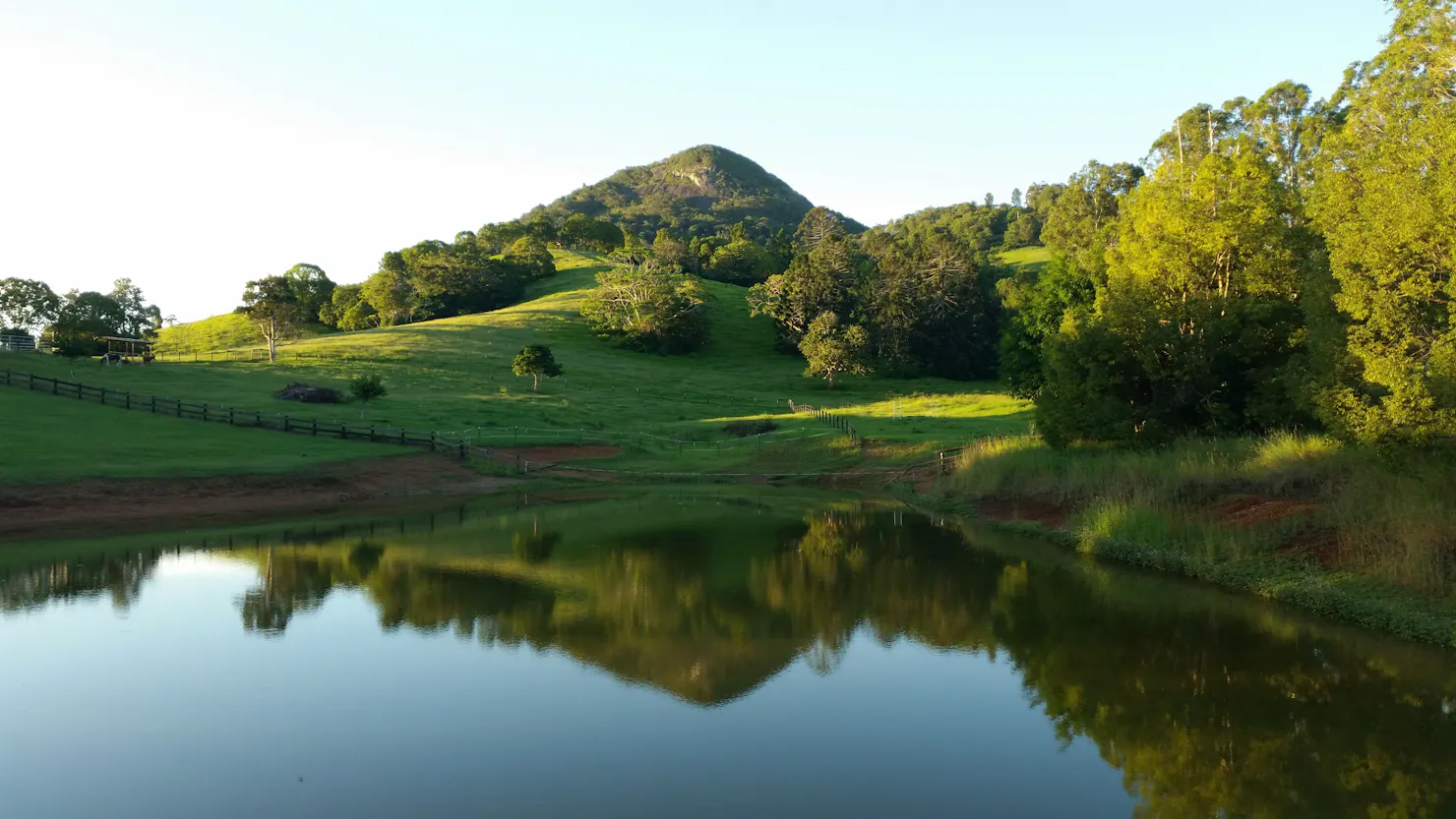 Peaceful and Magical