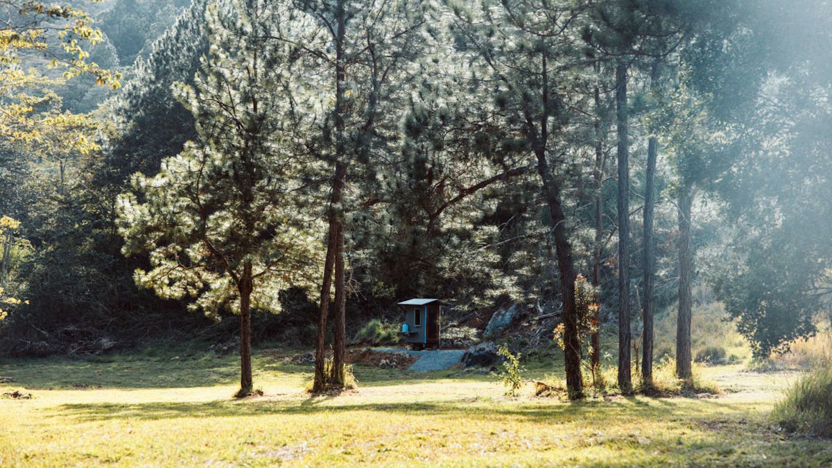 Eungella-creek-nature-stay