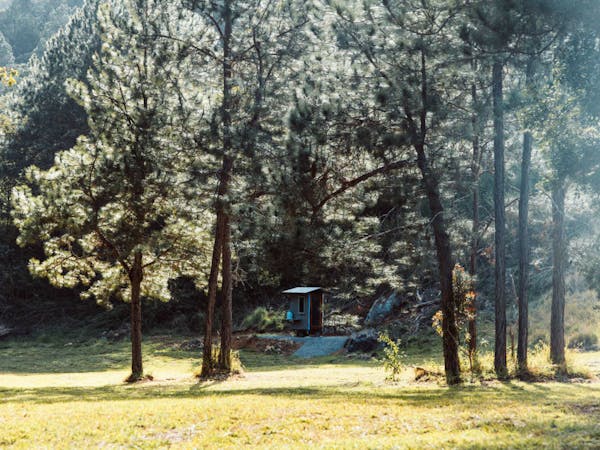 Eungella-creek-nature-stay