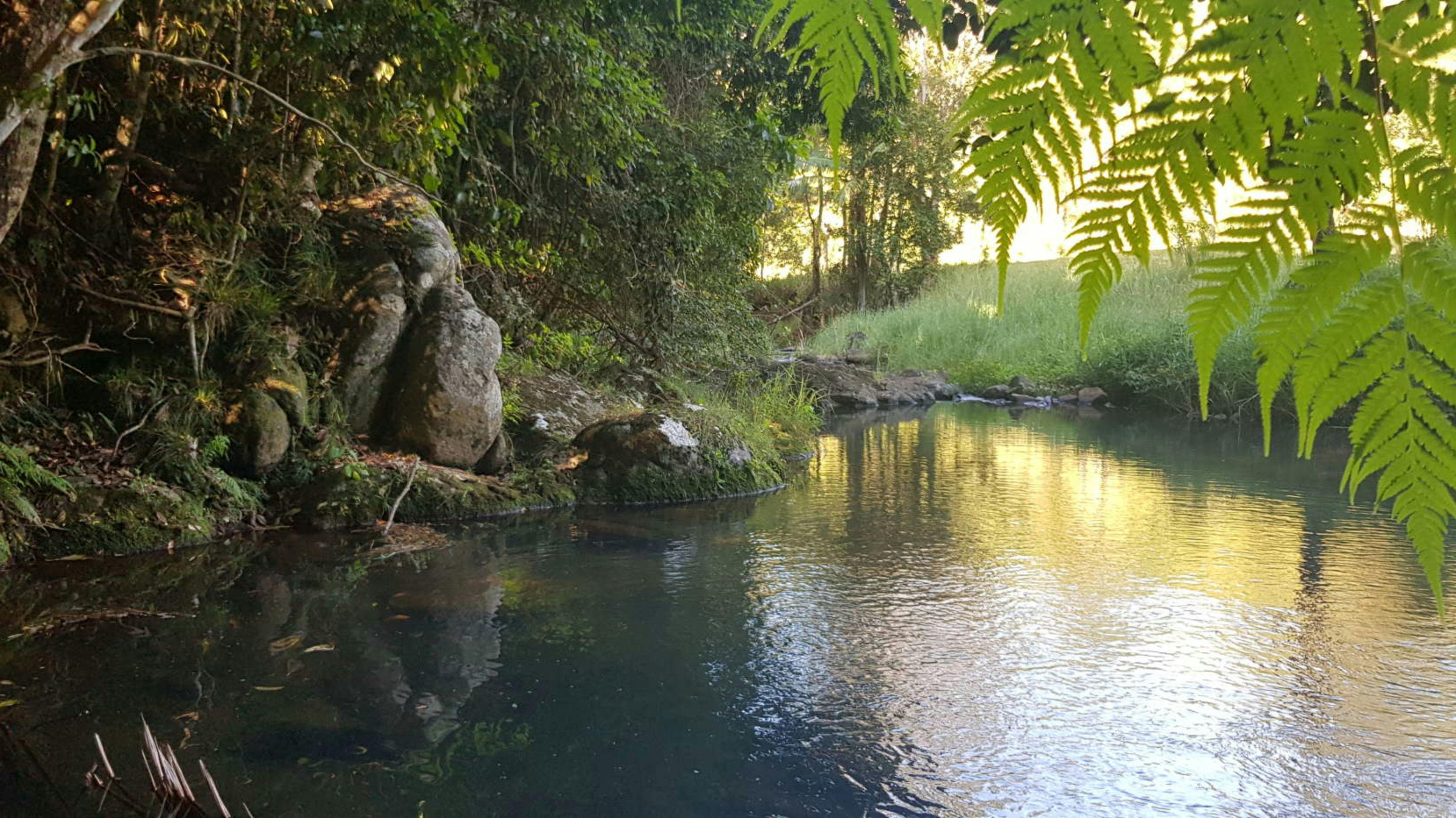Eungella-creek-nature-stay