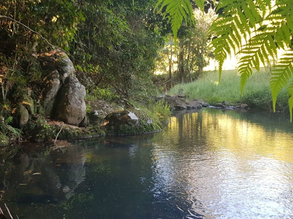 Eungella-creek-nature-stay