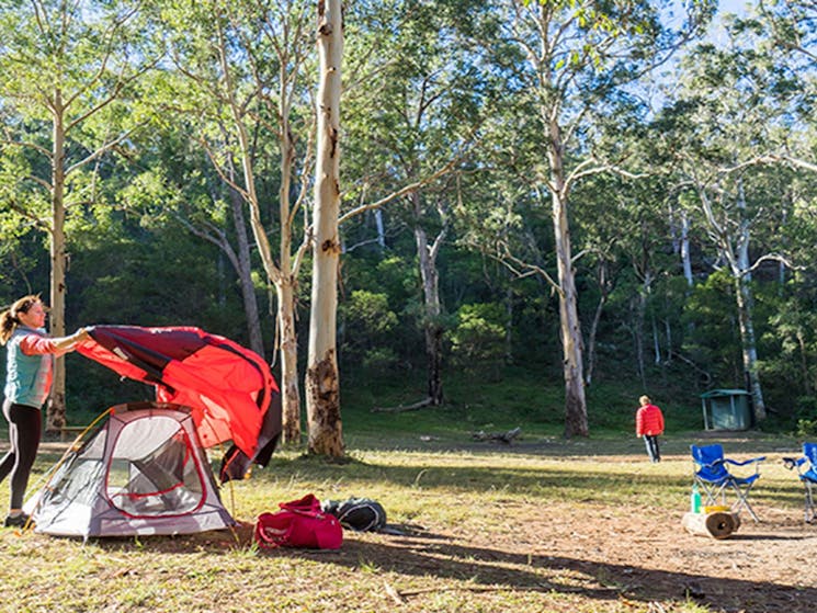 Camper sets up a tent in the Darug section of Euroka campground. Photo: OEH/Simone Cottrell