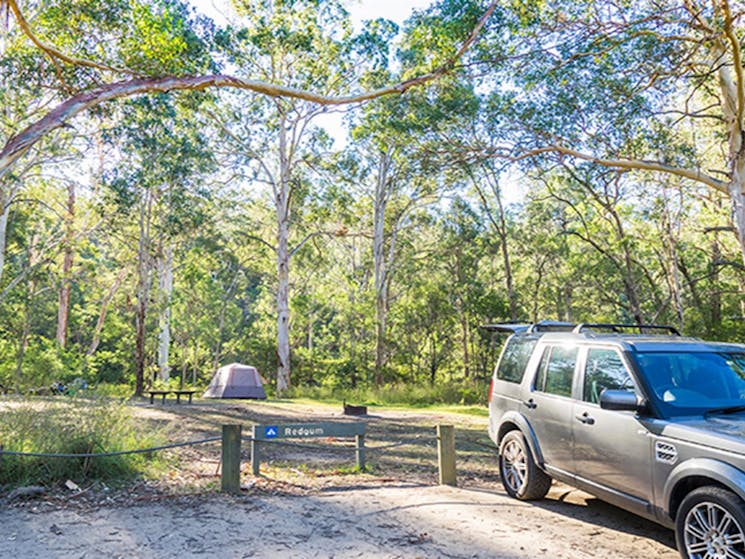 Car parked near a tent in the Redgum section of Euroka campground. Photo: OEH/Simone Cottrell