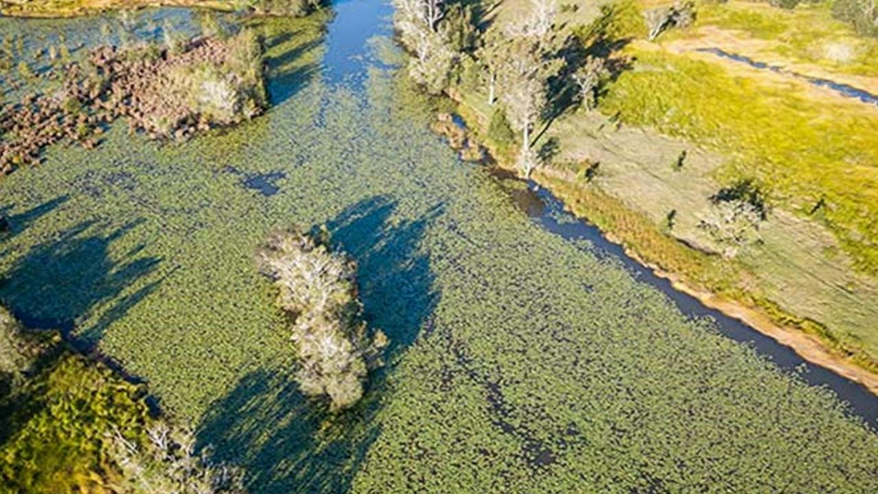Everlasting Swamp National Park