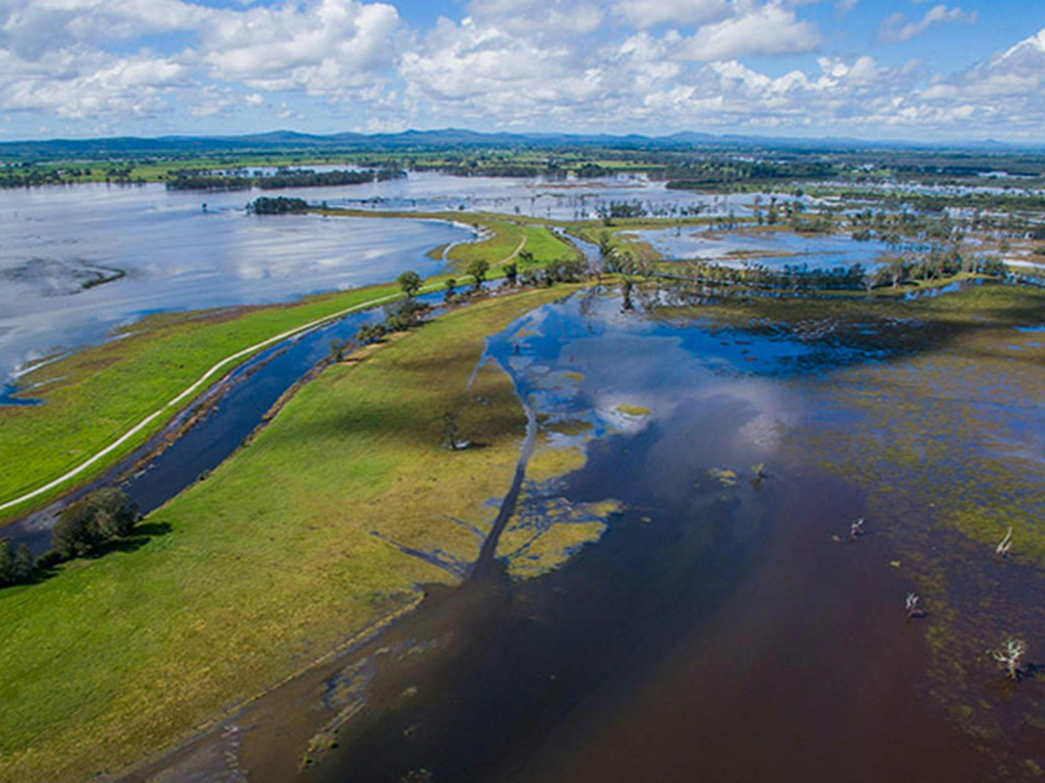 Everlasting Swamp National Park after flooding. Photo: J Robertson/OEH
