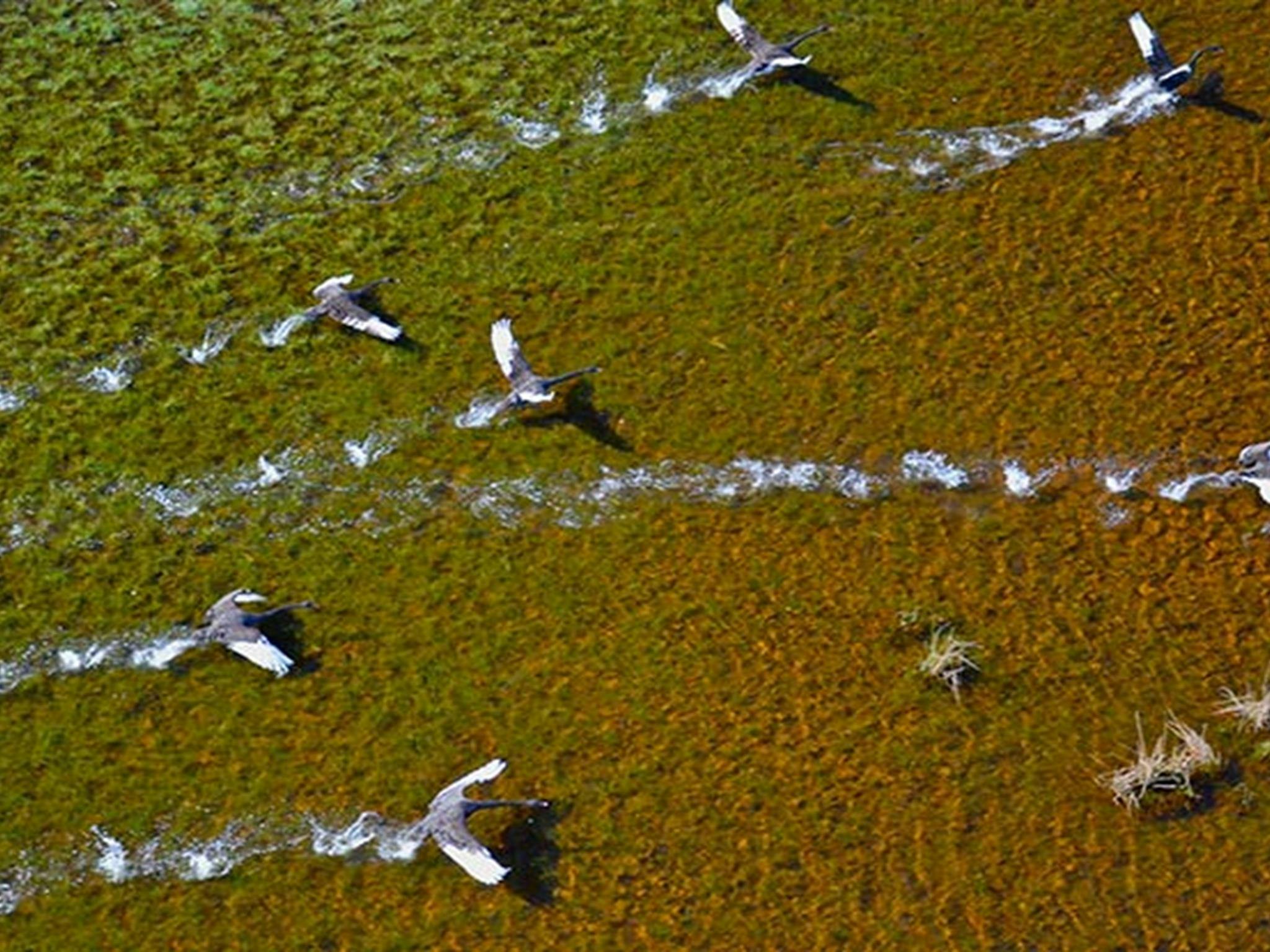 Everlasting Swamp National Park