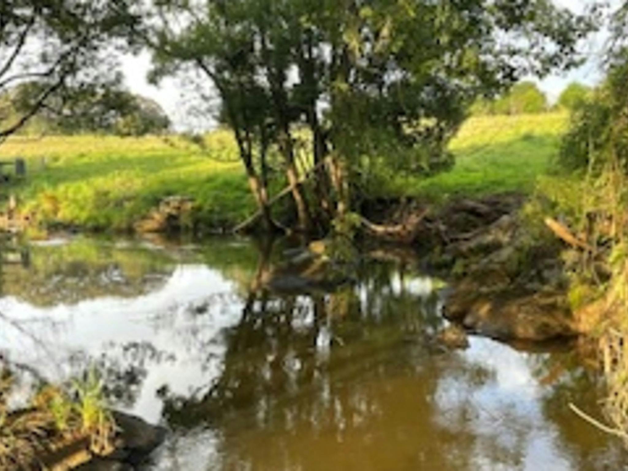 Maravilha