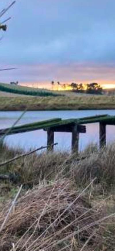 Merigan Farm