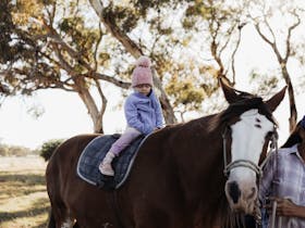 Bluegums Farm, Bordertown