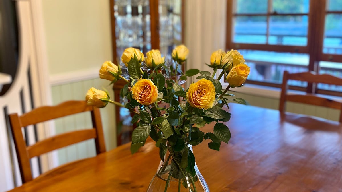 Local yellow roses