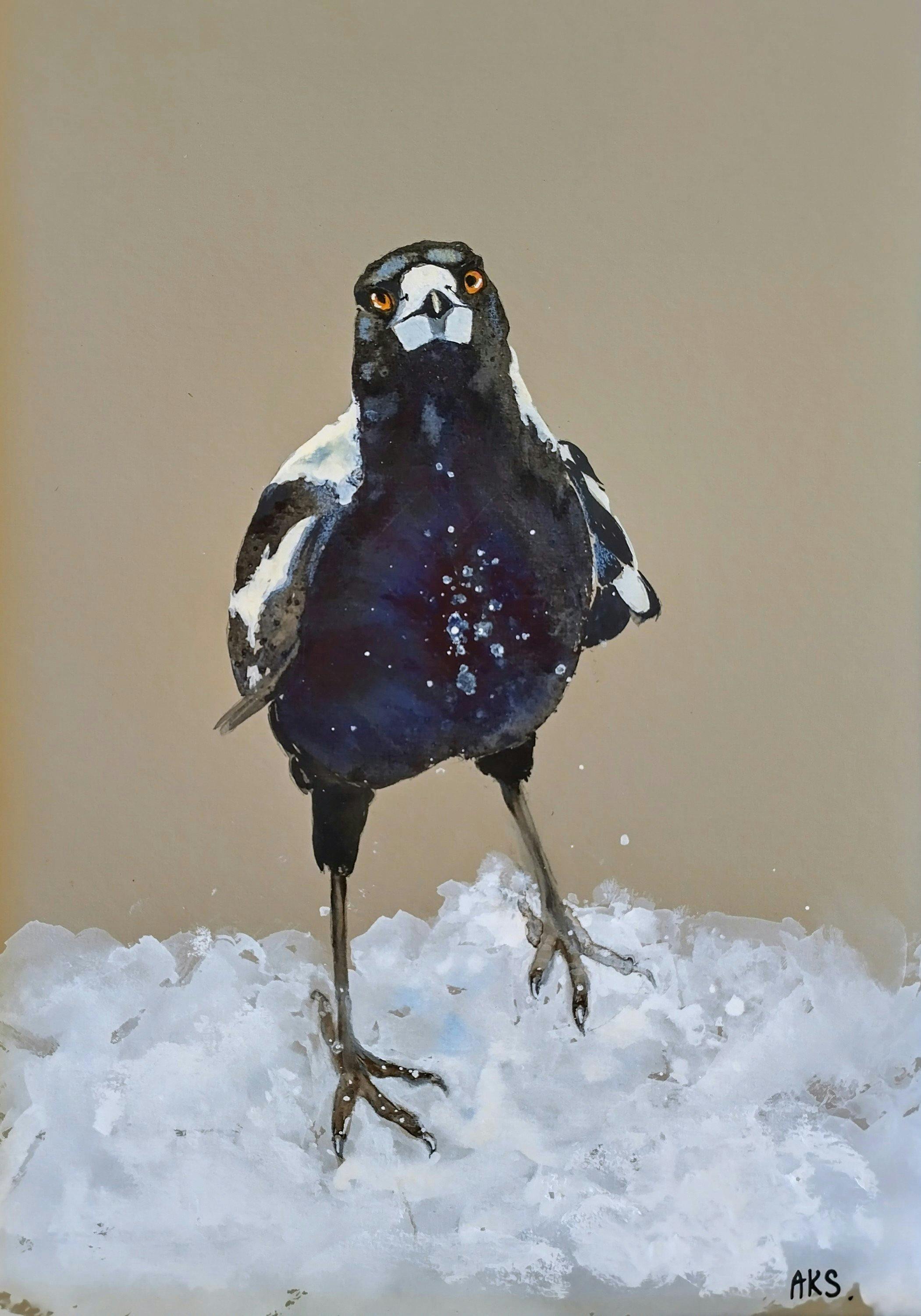water colour of a magpie