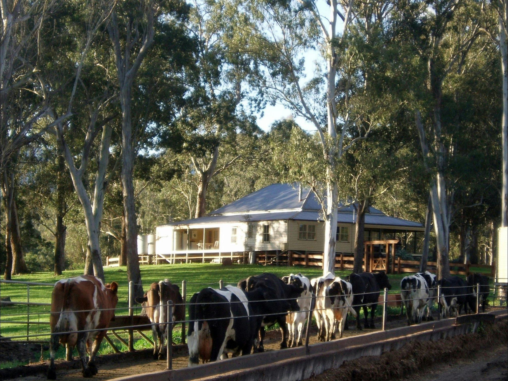 Dairy Flat Farm Holiday Nsw Holidays And Accommodation Things To Do