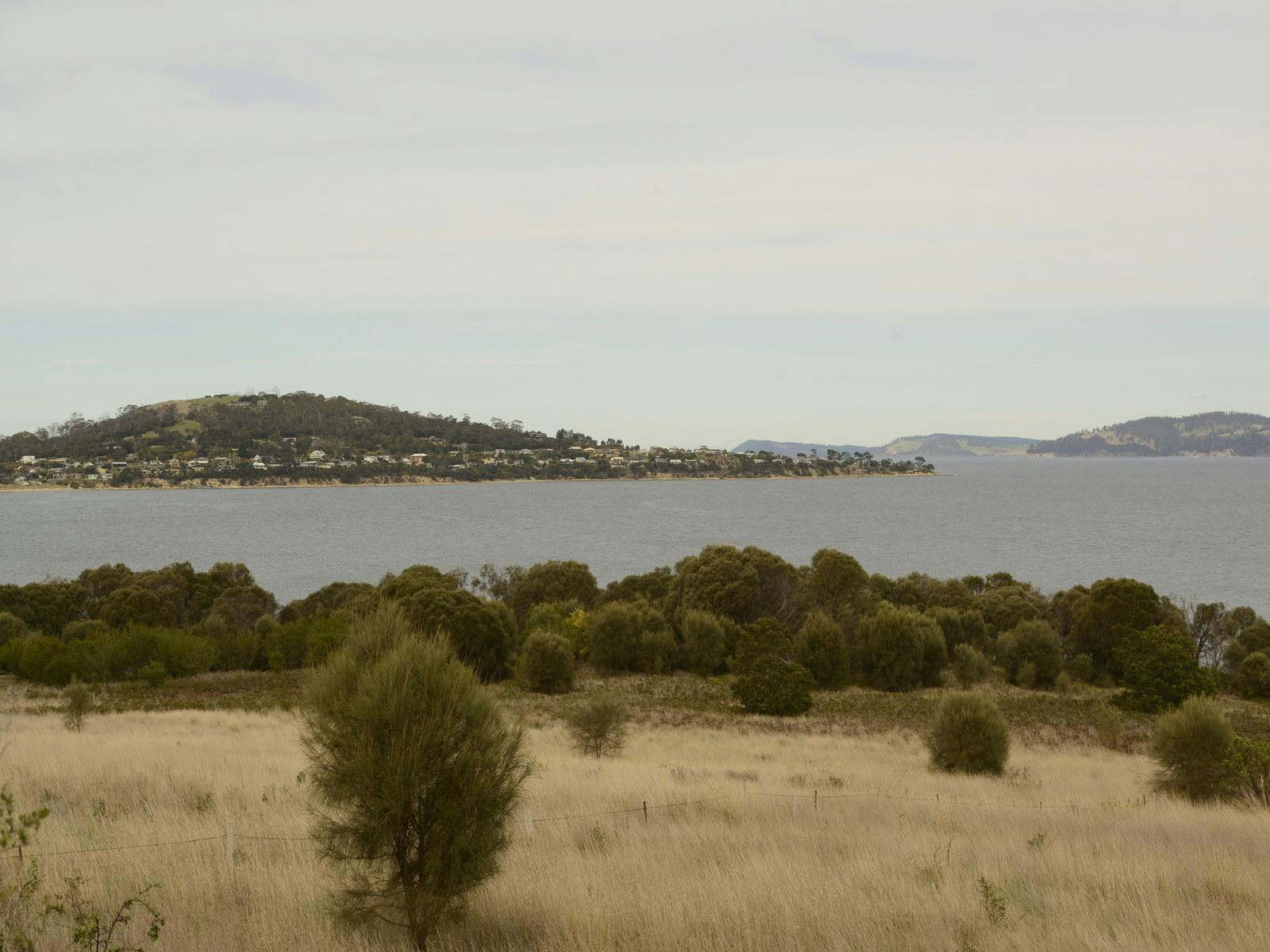 South Arm Peninsula Trail 4