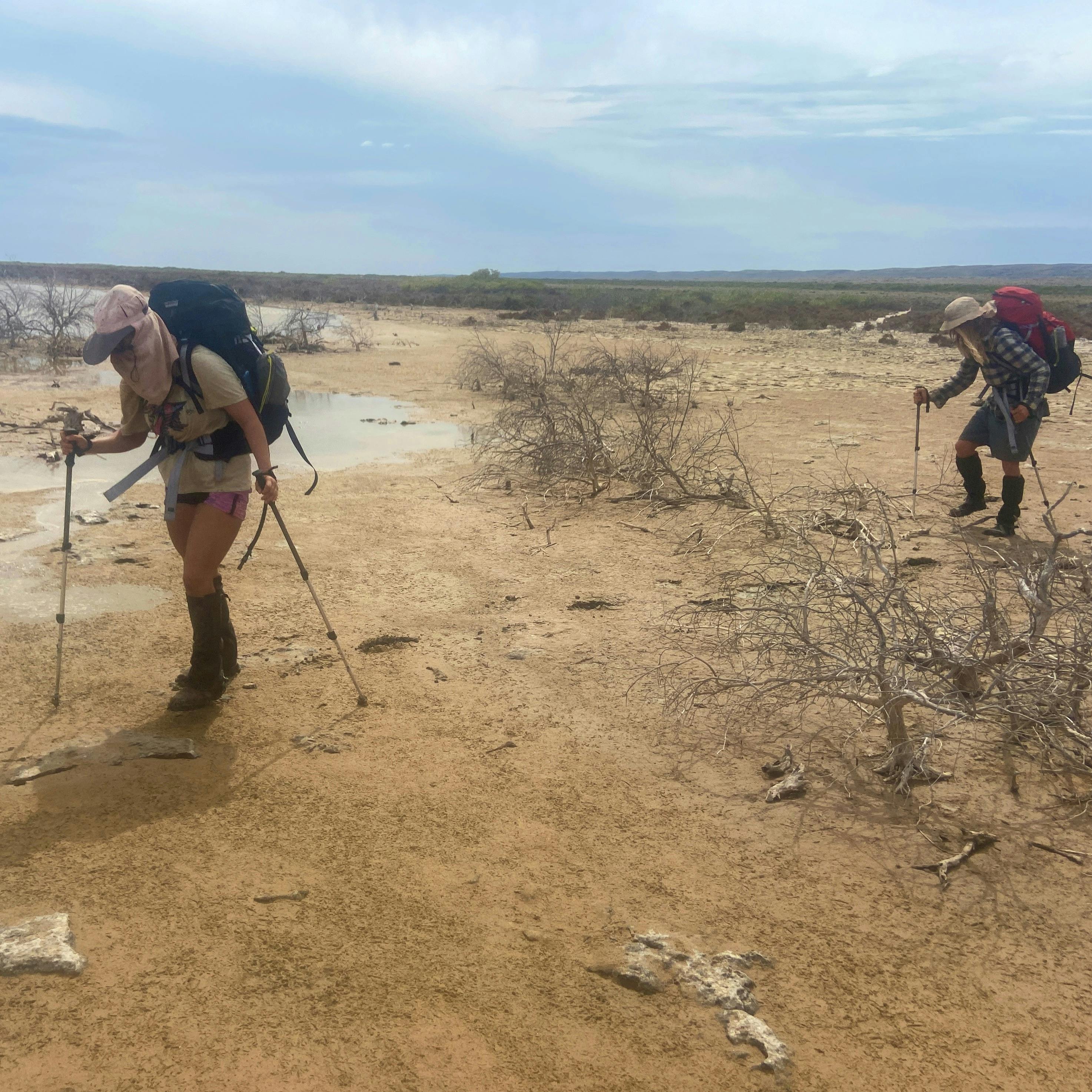 Ningaloo Coastal plains - mud flats