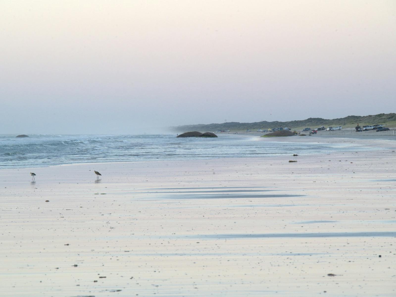 Join us at the Kingston Se Surf Fishing Contest