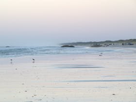 Join us at the Kingston Se Surf Fishing Contest