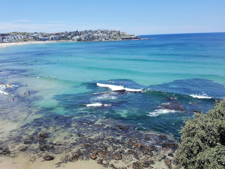 Tours to Bondi Beach, Luxury Private Guided Tours, See Sydney like a local, things to do in Sydney