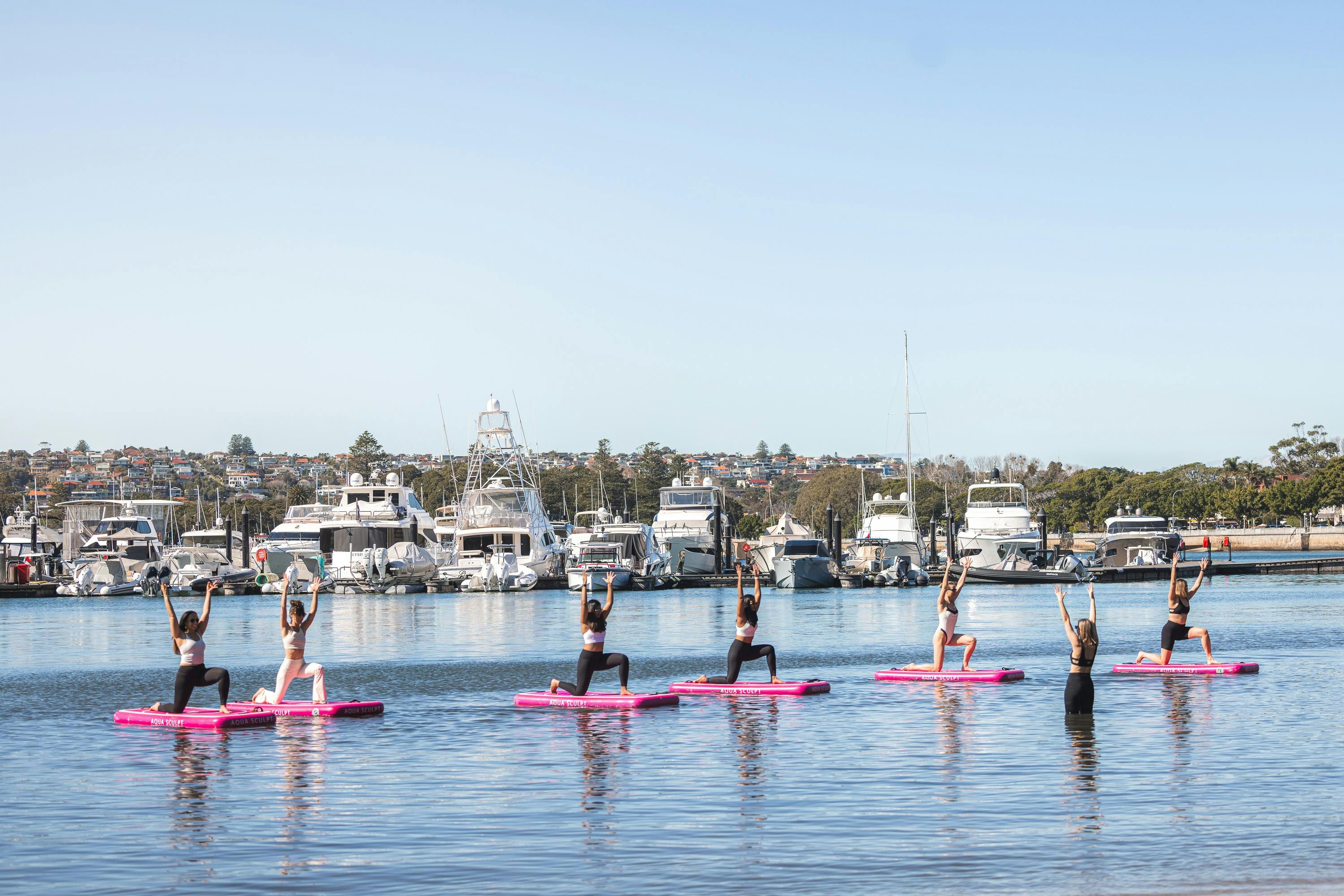 시드니 항구에서 진행하는 개인 그룹 아쿠아 스컬프트 세션