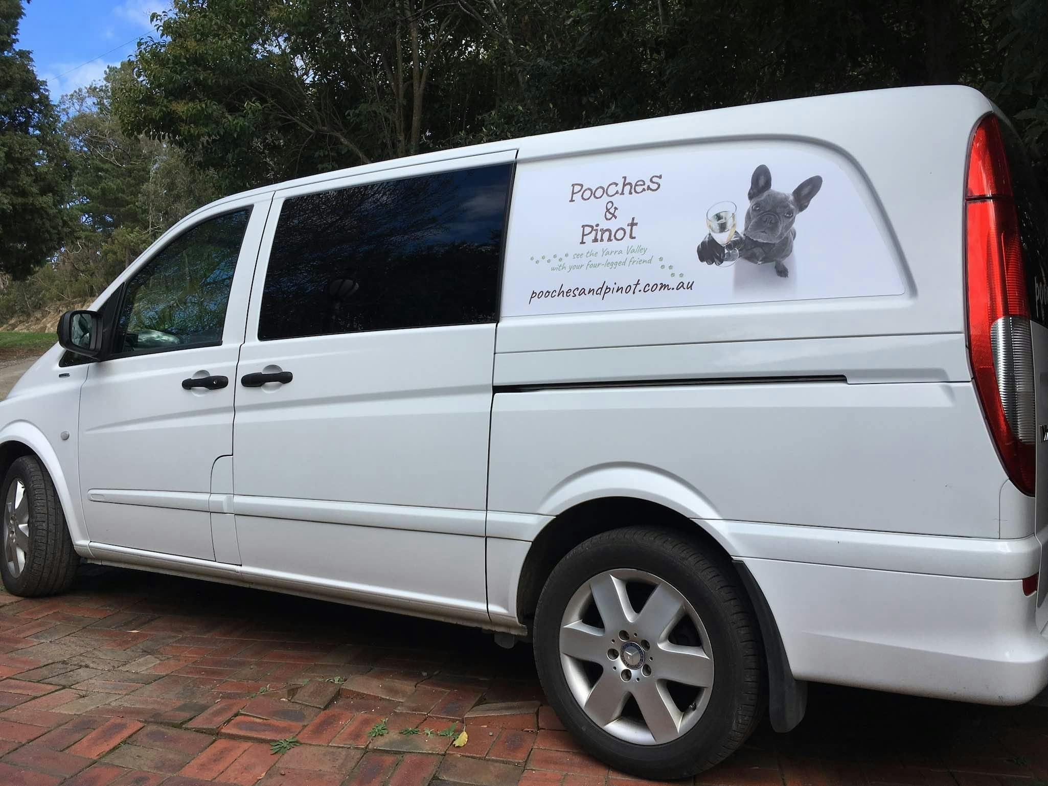 This is your VIP touring van for the day, so you can travel in comfort on your Pooches & Pinot tour