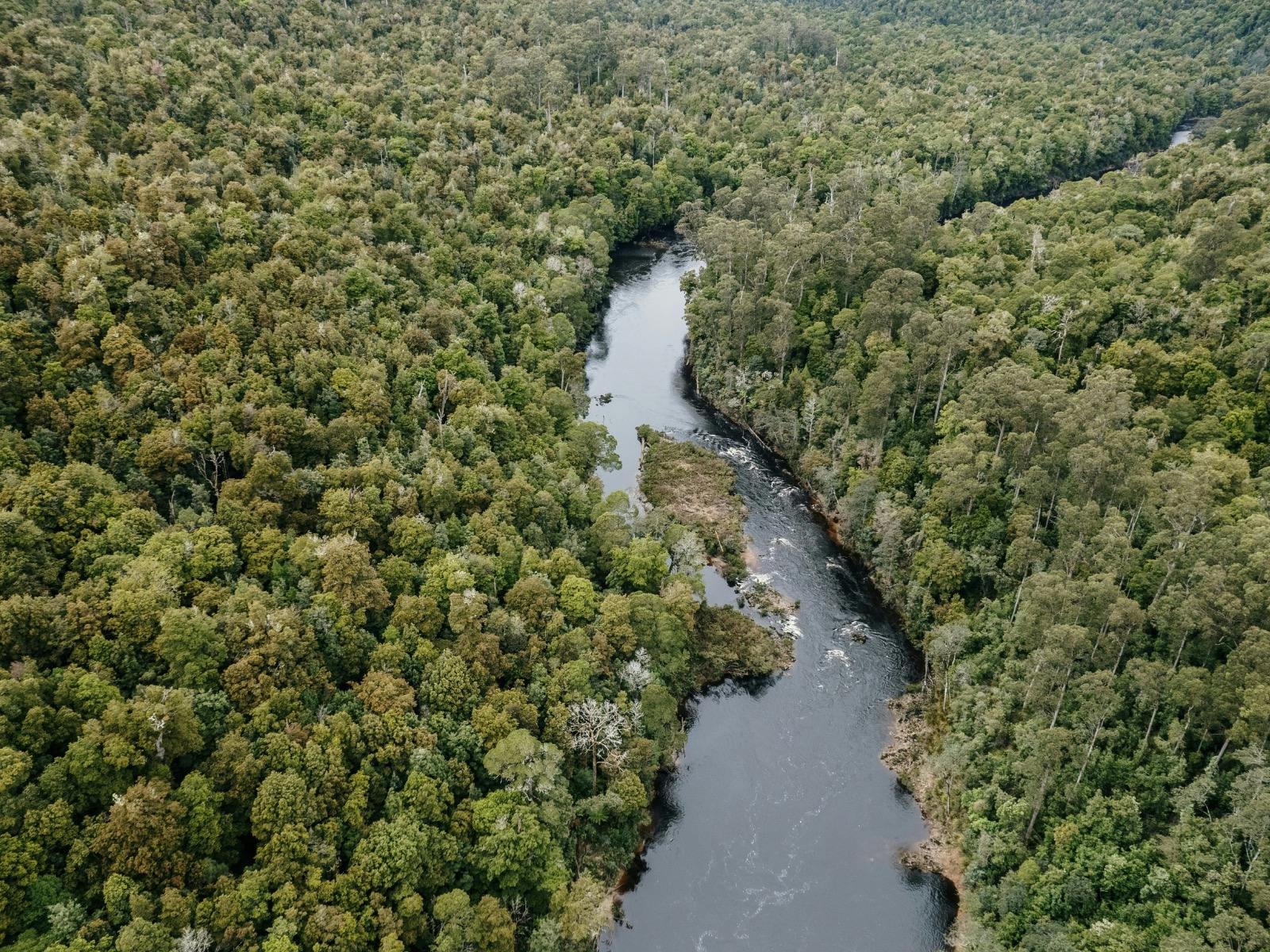 Tall Timbers 4wd Adventure Tours