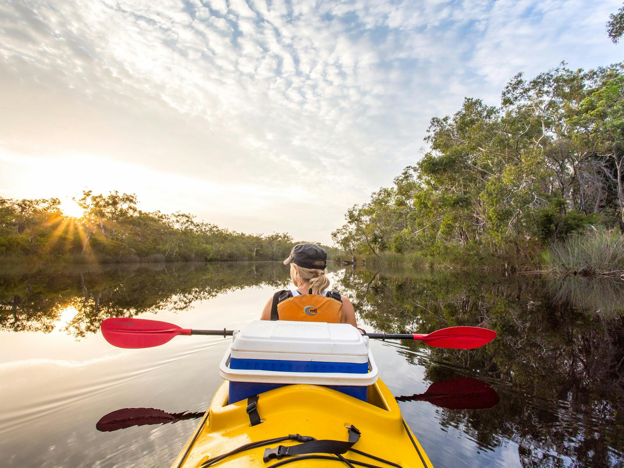 Kayaking the Upper Noosa River Kayaking the Upper Noosa River