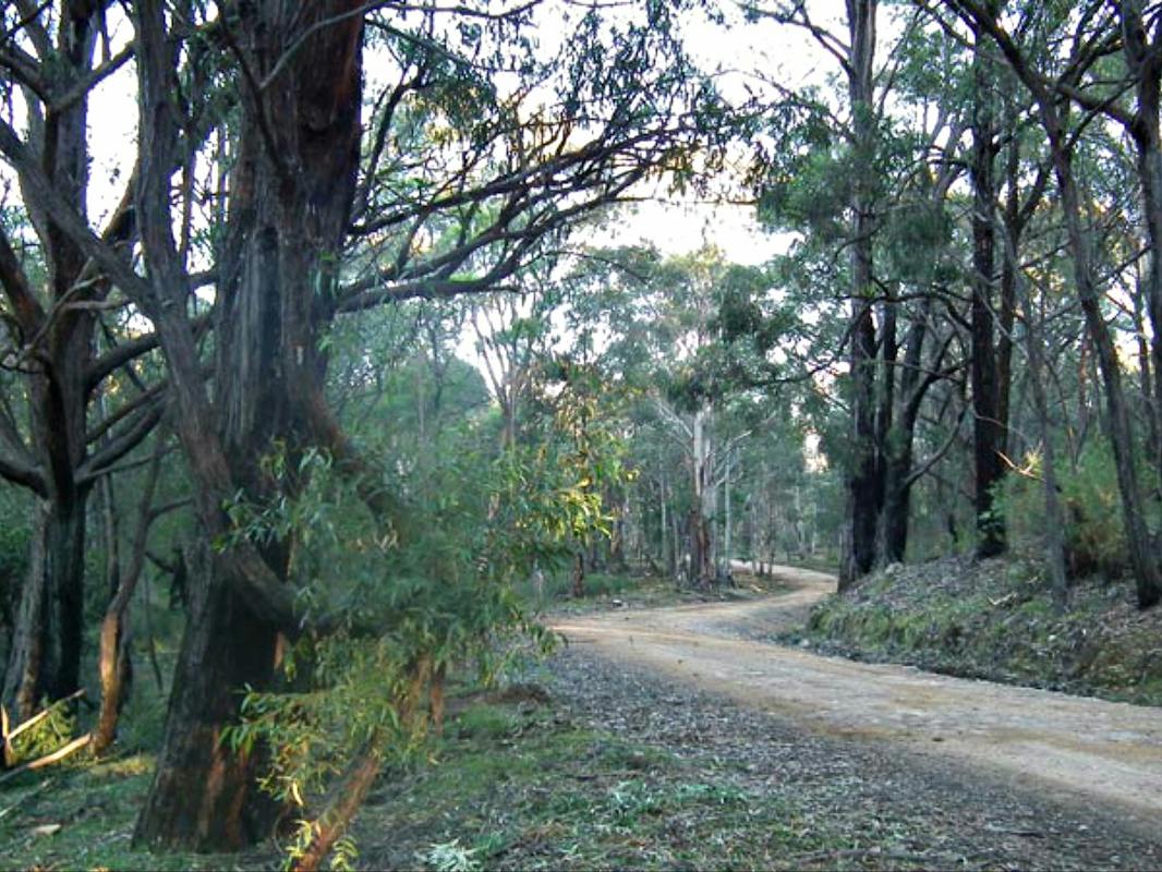 4WD Oberon Colong Historic Stock Route