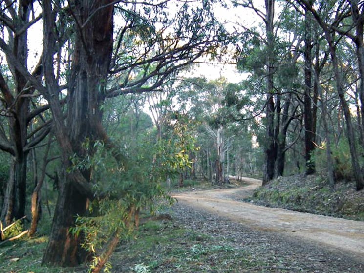 4WD Oberon Colong historic stock route. Photo: D Campbell