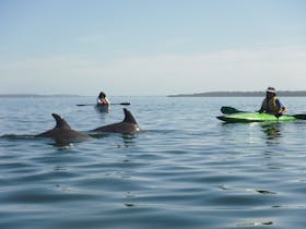Osprey Waters - Peel Inlet Paddle Trail