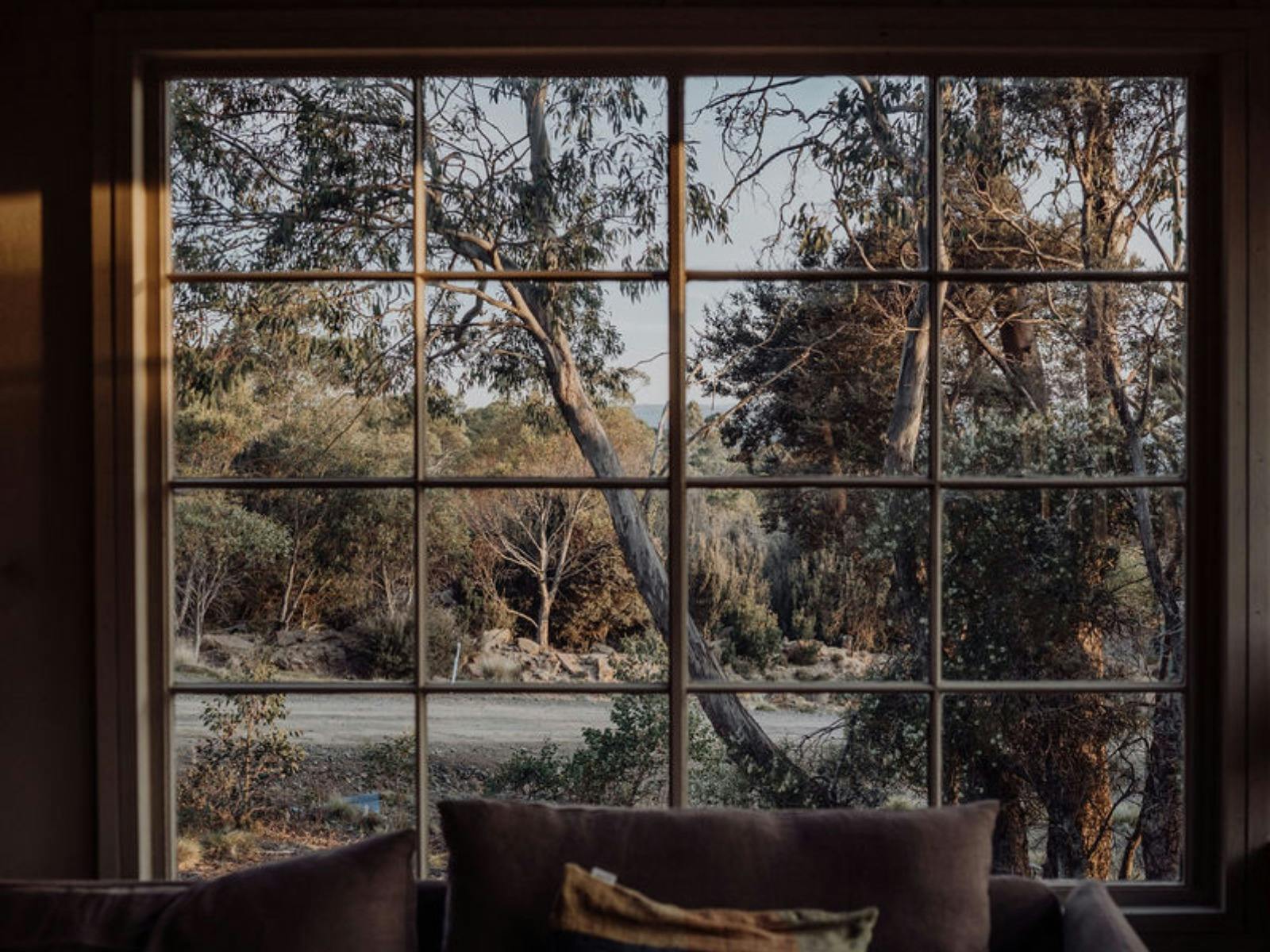 cabin picture window in the living room looking out to the Great Lake and Tassie bush