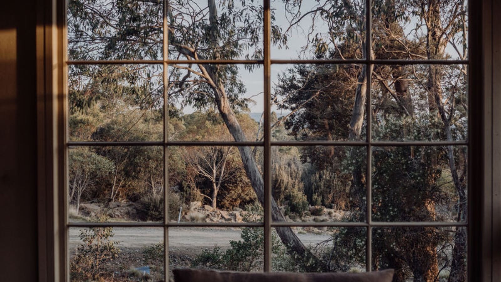 Large picture window in the living room looking out to the Great Lake and Tassie bush