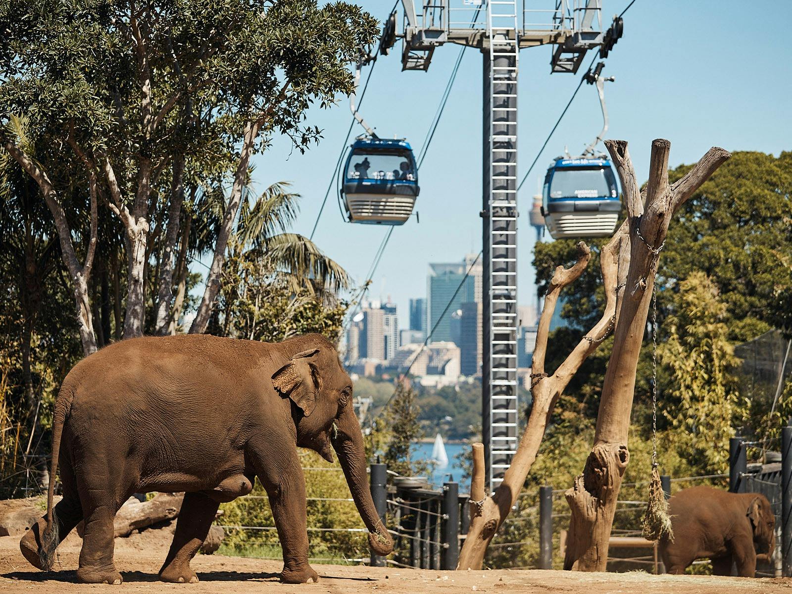 Taronga Zoo