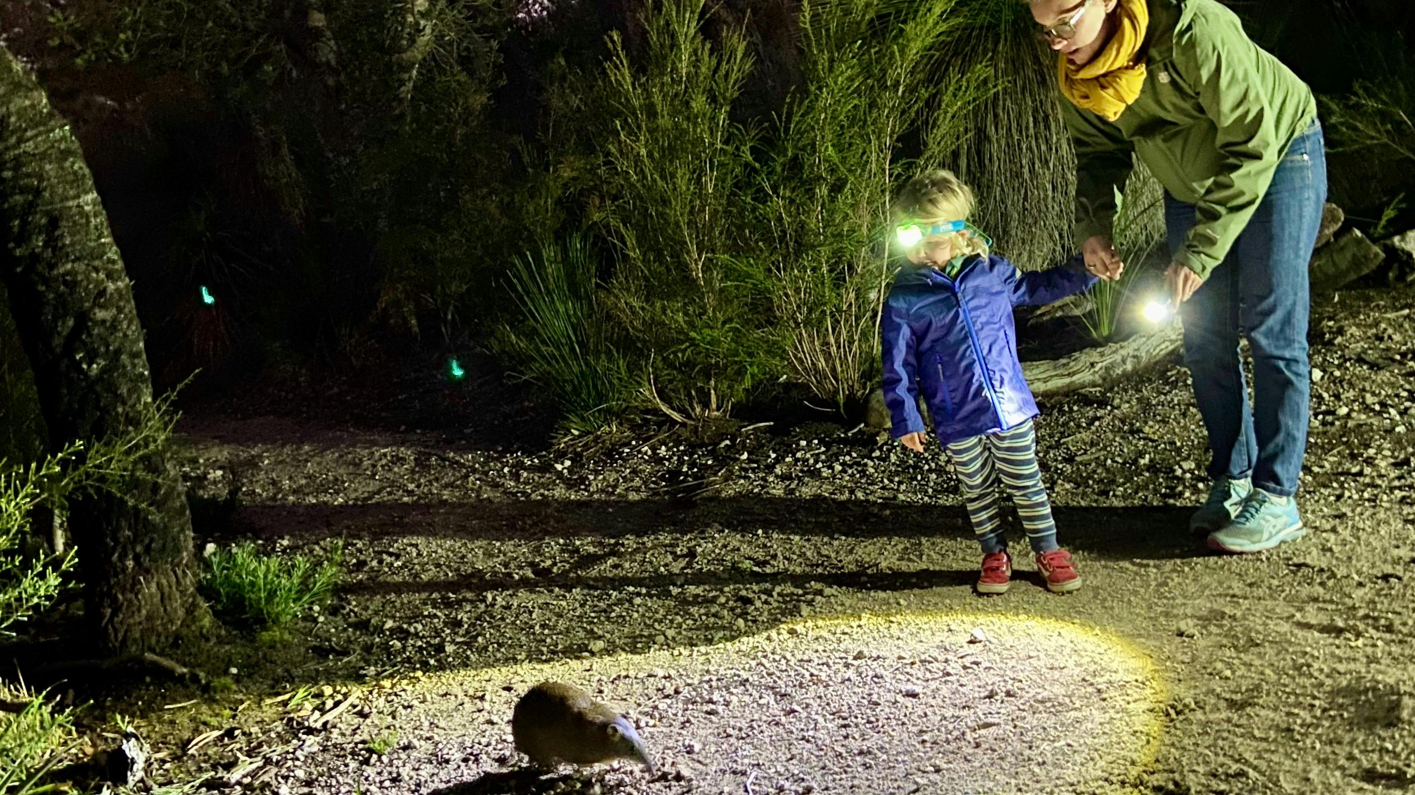 Guests on Meet the Woylies Tour spotting nocturnal wildlife closeup in their natural environment
