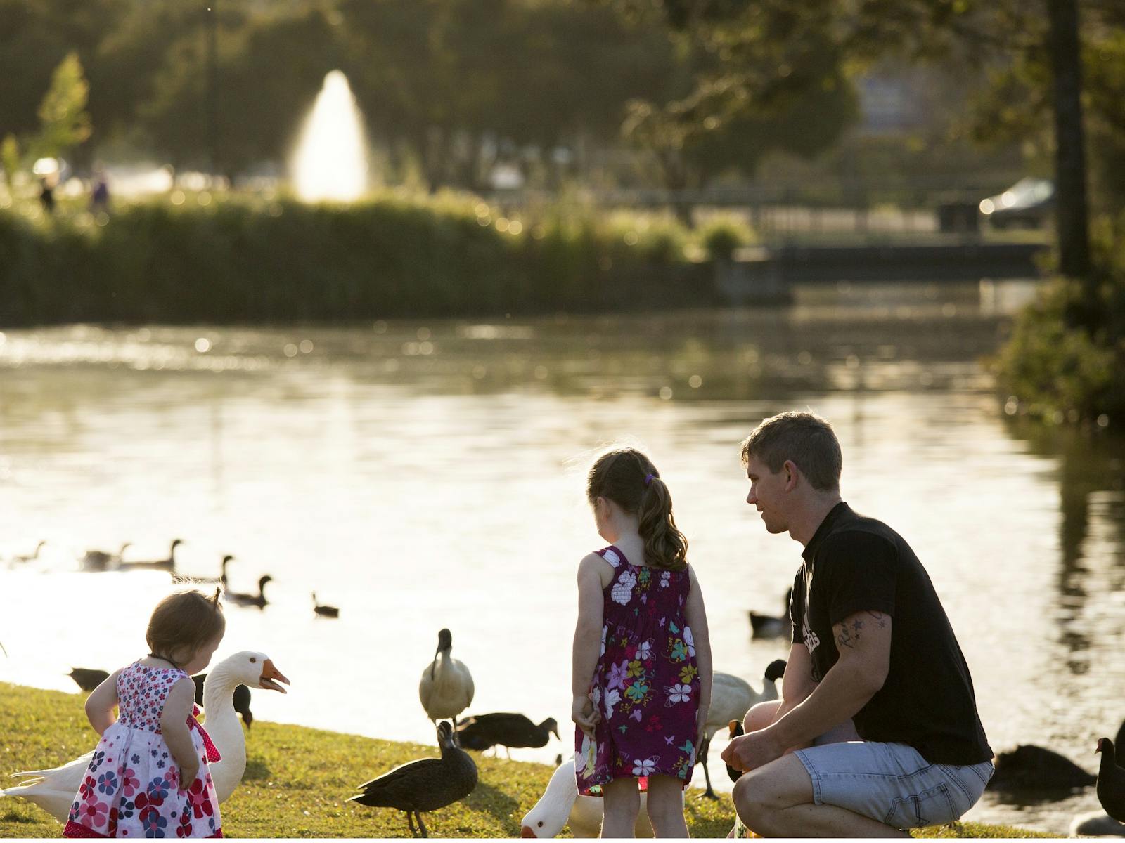 Lake Alford Duckponds