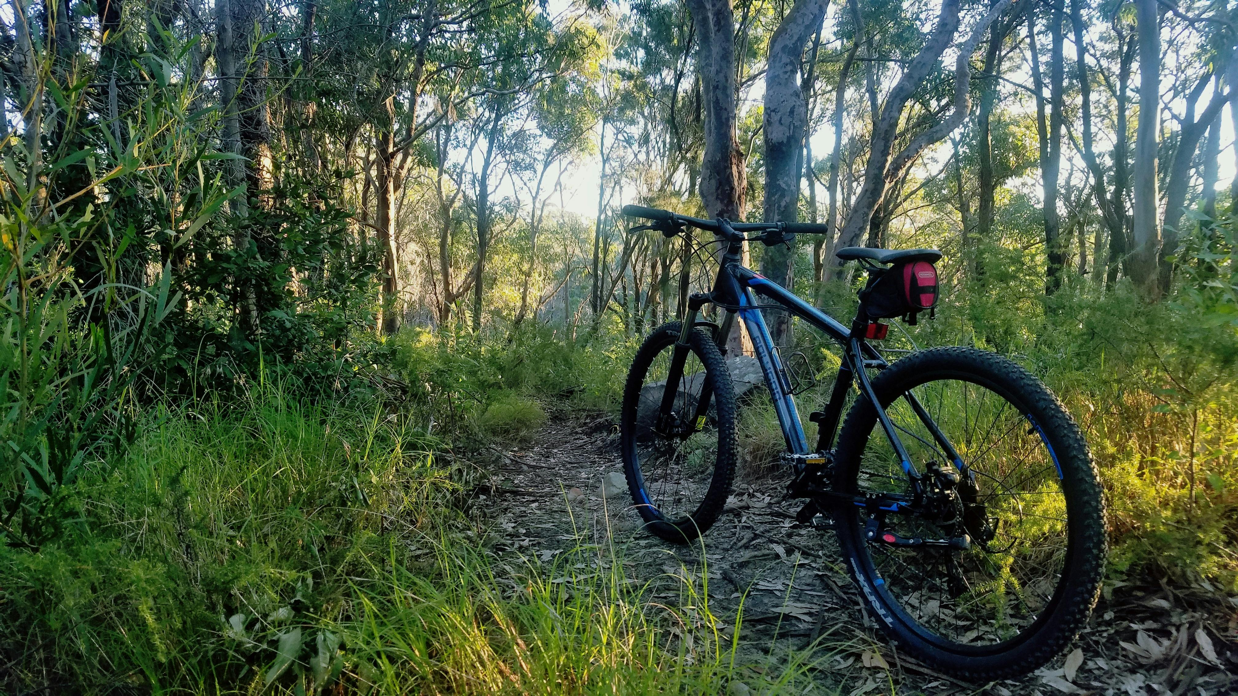 Mountain Bikes Adult