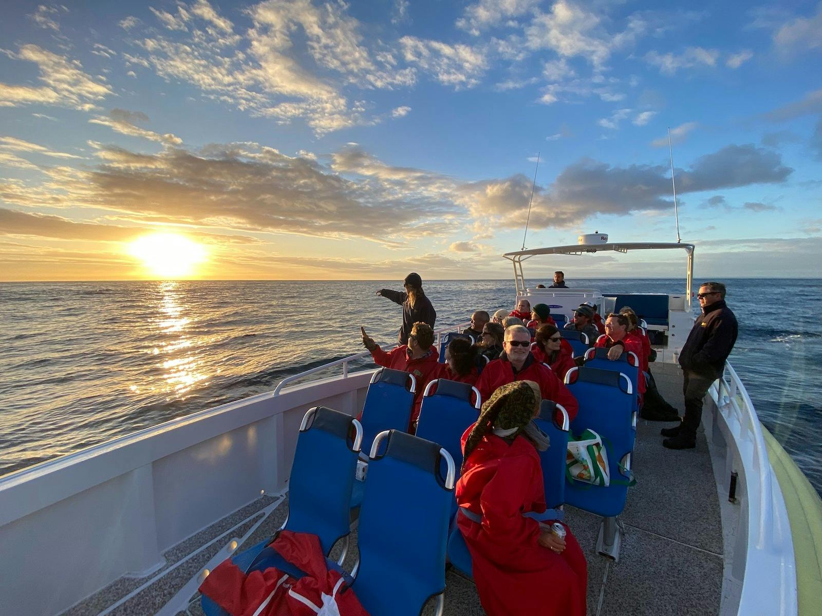 Sunset Cruise