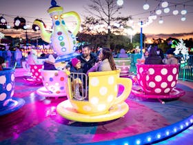 A family on a tea cup ride