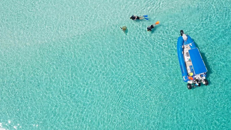 Remote Fraser Island and Whale Experience – Tasman Venture