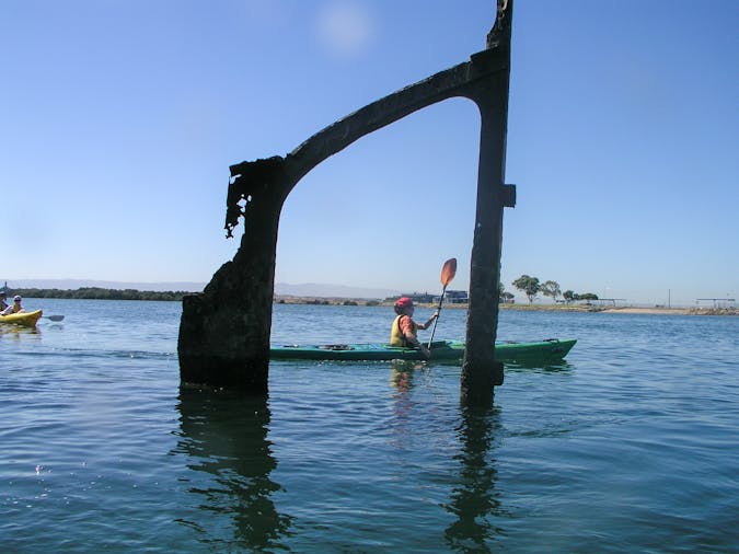School Holidays Kids Dolphin and Ship Wreck Adventure